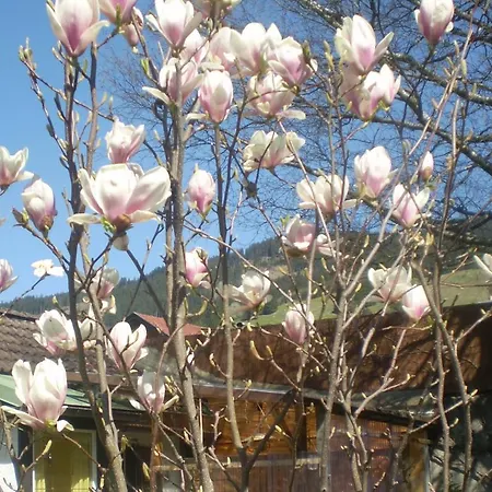 Apartment Haus Deidl Bad Hindelang